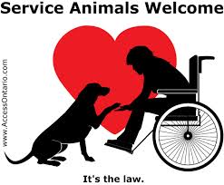 service animals