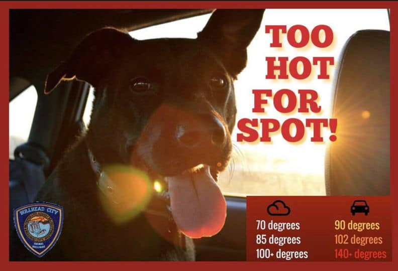 dont leave dogs in hot car