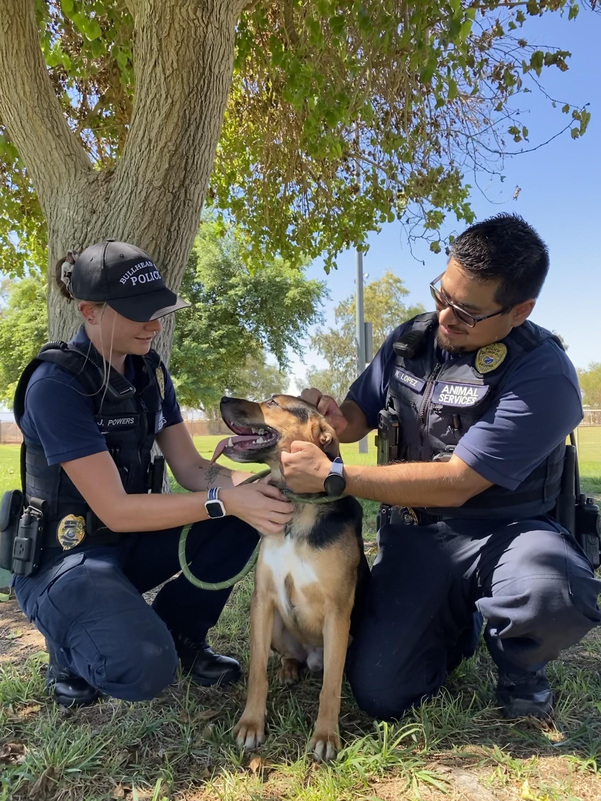 Animal officers with dog